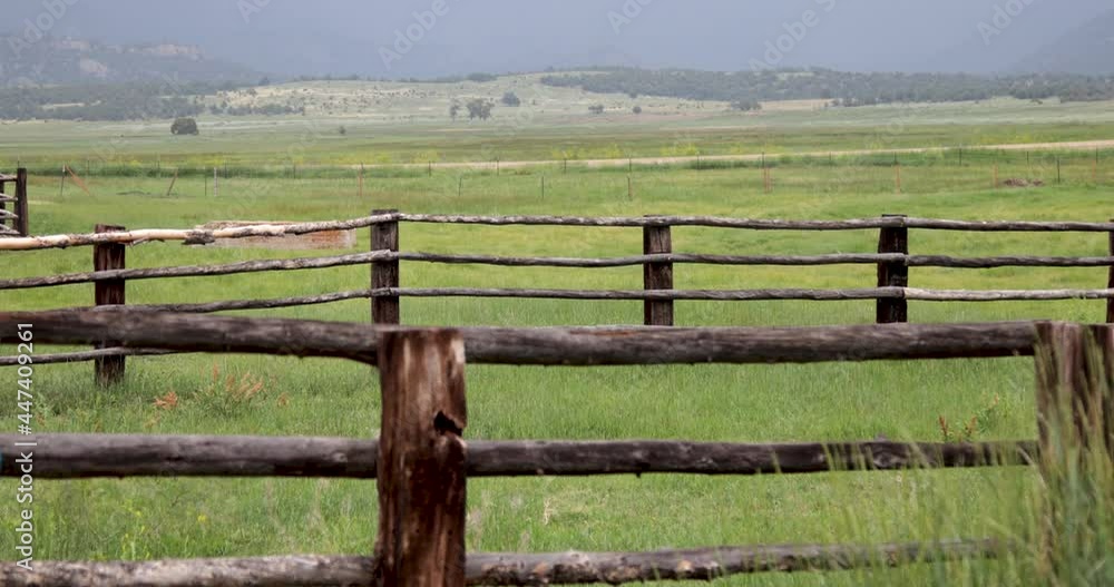 Summer Colorado Pasture Fence grass blowing in the wind Summer Colorado Pasture Fence grass blowing in the wind