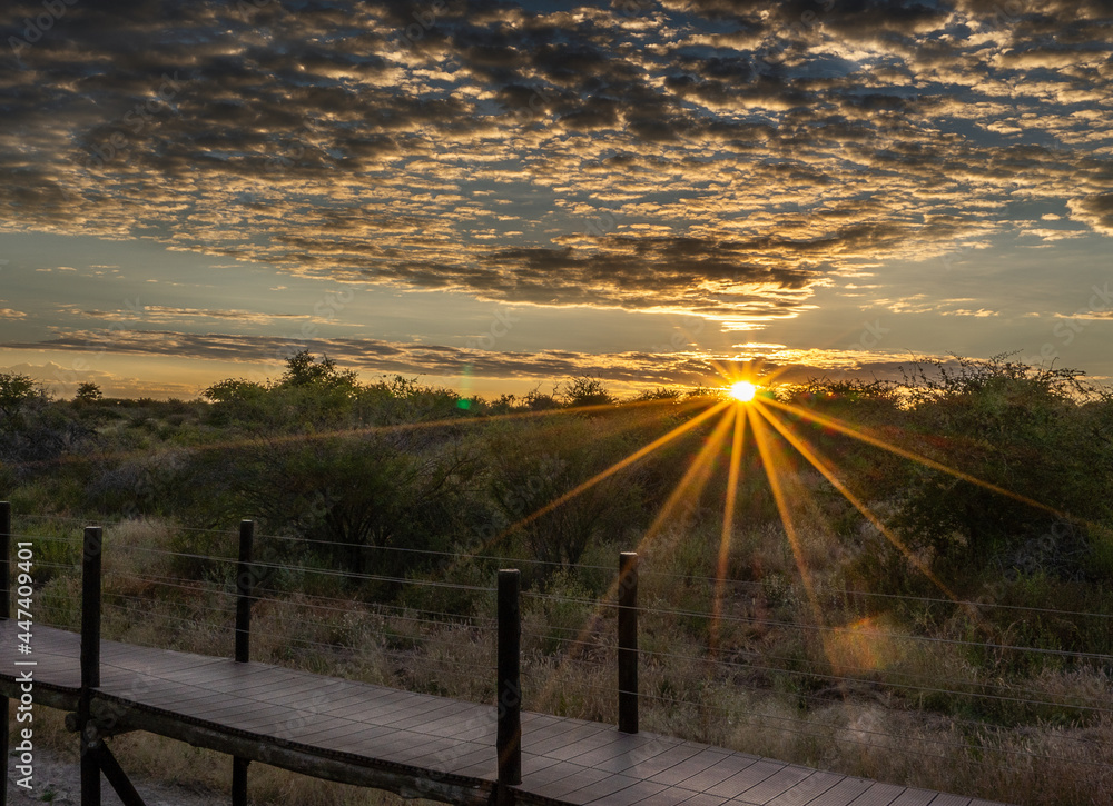 sunrise in Namibia over a raised walkway