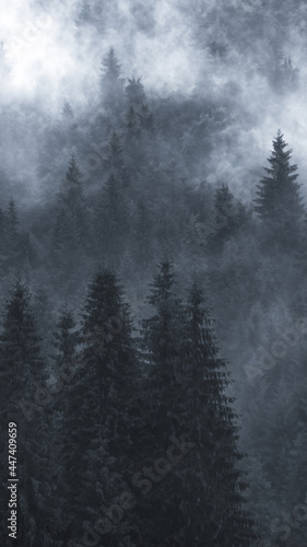 Scenic forest foggy background