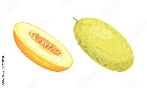 Melon Fruit with Juicy Flesh and Seeds Inside Vector Set