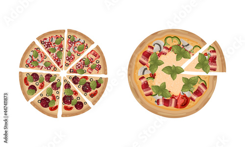 Traditional Italian Pizza of Round Shape with Salami and Tomato Above View Vector Set