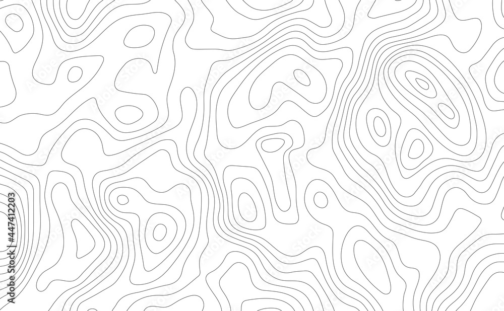 Lines curve topographic top view map background