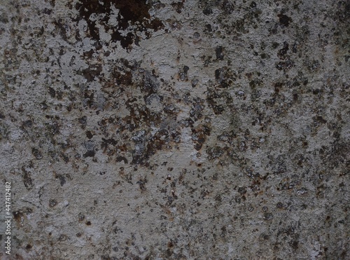 The texture of the old rusty metal covered with white paint.