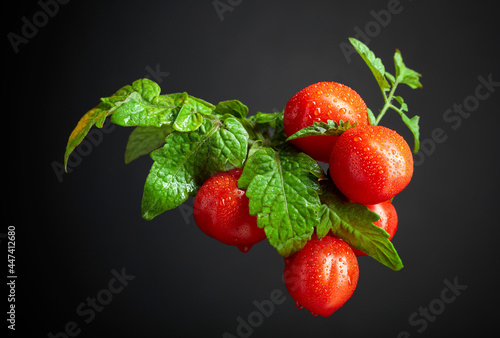 Fresh cherry tomatoes with leaves.