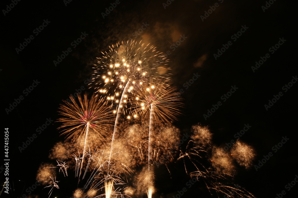 夏の夜の花火イベント 夏の夜の花火イベント