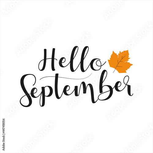 Hello September with autumn leaf vector illustration on white background  autumn lettering for greeting card  banner  poster  label and post card