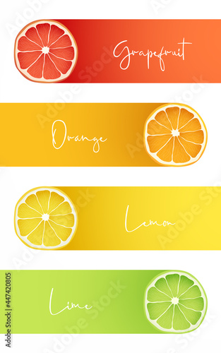 Banners with fresh fruits of Grapefruit, Orange, Lemon and Lime. Elements for infographics. Stock vector illustration.