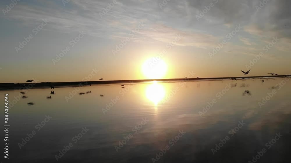 Kalmykia, nature reserve. Pelicans fly low over the water. Kalmykia, nature reserve. Pelicans fly low over the water.