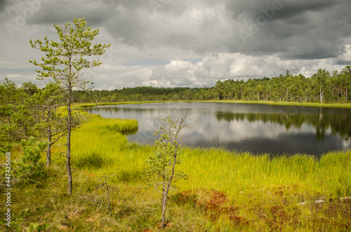 Kalnansu swamp with lake, Kabile, Latvia. photo