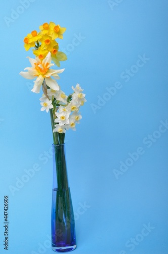 Bouquet of daffodils in a vase