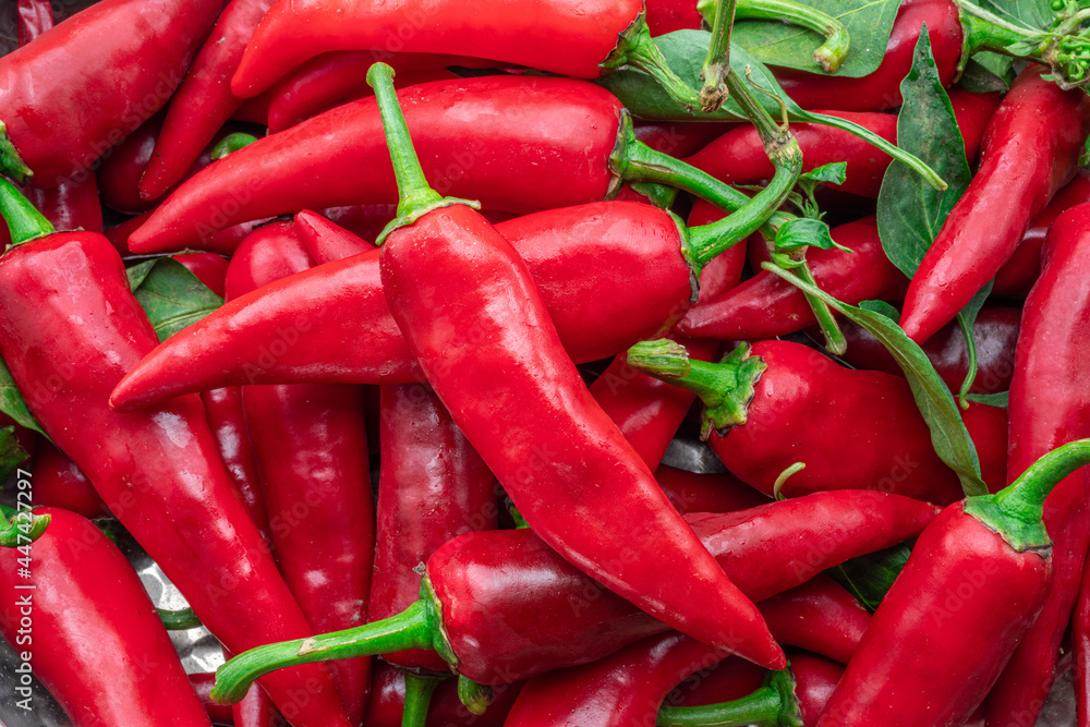 Lot of fresh red chilli peppers. Food background.