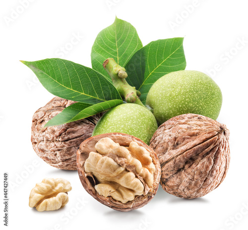 Walnuts and walnuts in green husk with leaves isolated on white background.