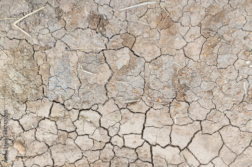 closeup dry soil background, top view