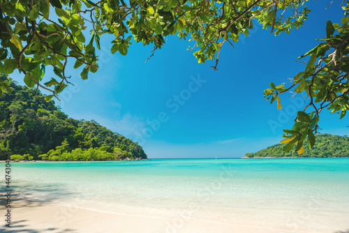 Wonderful white sand beach for relaxation located similan island, Clean and bright sandy tropical beach © peangdao