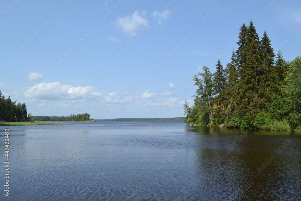 Quiet lake view, blue sky, natural background, wild park with lake in russia