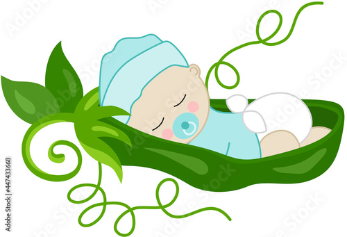 Baby boy pea in a green pod
