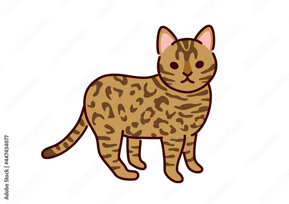 シンプルかわいい猫・ベンガルのベクターイラスト／Vector illustration of simple cute cat Bengal
