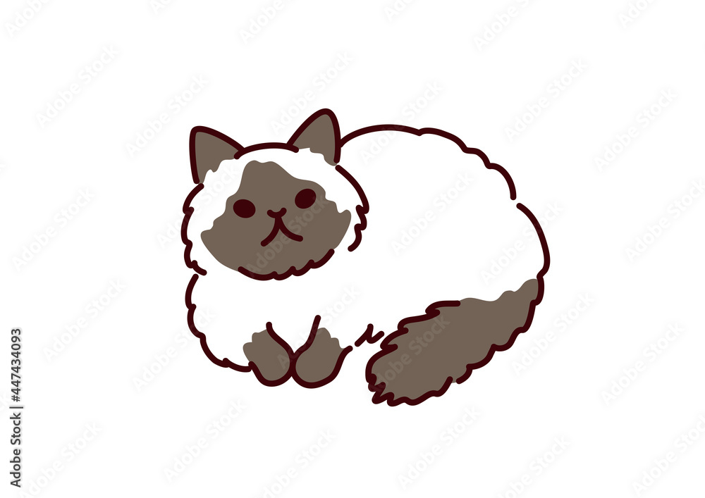 Himalayan Cat Illustration シンプルかわいい猫 ヒマラヤンのイラスト Stock Vector Adobe Stock Himalayan Cat Illustration シンプルかわいい猫 ヒマラヤンのイラスト Stock Vector Adobe Stock