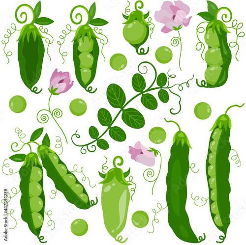 Fun package of peas and green pod set digital elements