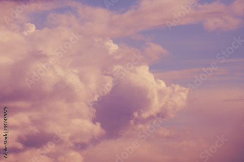 Background of pink sunset sky in summer evening
