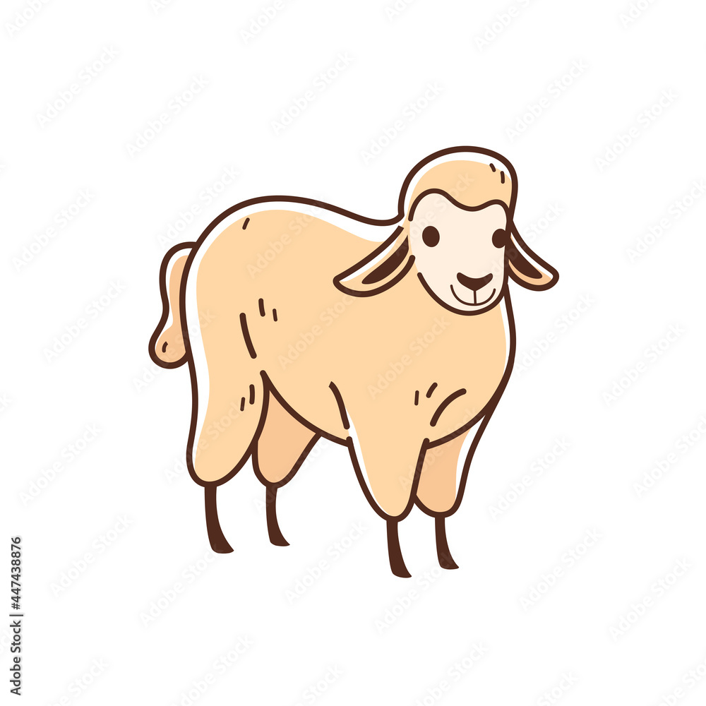 Fototapeta premium Illustration of sheep. Simple contour vector illustration for emblem, badge, insignia.