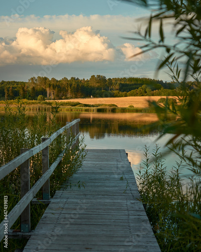 Holzsteg am Jungfernweiher in Ulmen in der Eifel im Sommer mit auftürmenden Cumuluswolken