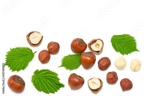 hazelnuts with green leaf isolated on white background macro. clipping path. top view