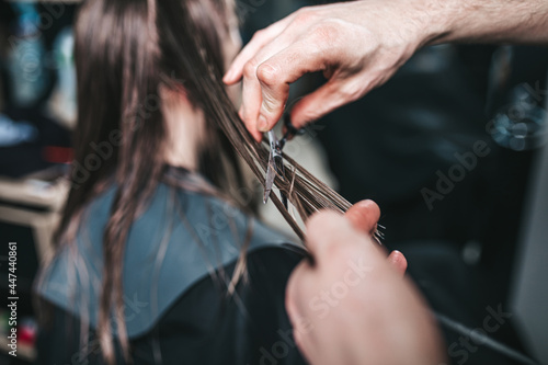 Young woman in hair salon getting rid of split ends. Haircut.