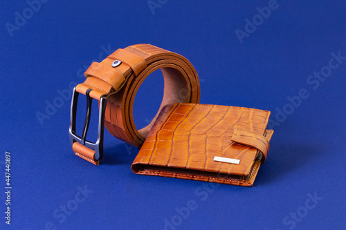 Brown reptile leather wallet and belt on blue fabric background. Fashion and shopping concept