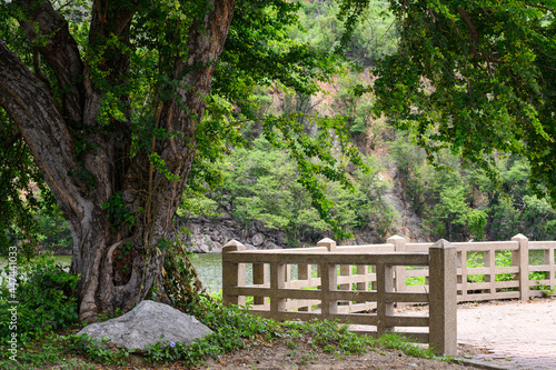 A park is an area of natural