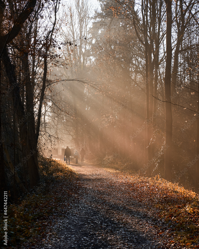 Naklejka premium first light rays of spring in the park with a young family strolling in the warm sunlight, trees are still barren and leafs cover the ground