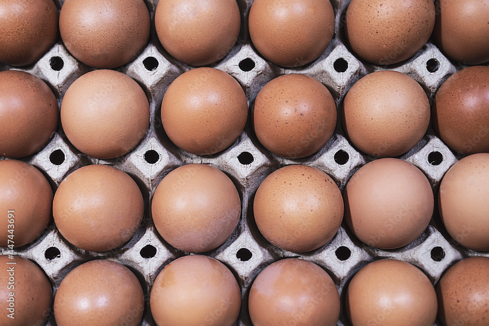 Eggs tray top view for background use Eggs tray top view for background use