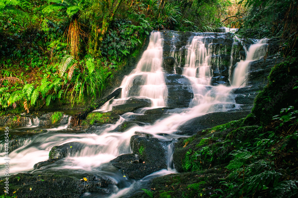 Lush green rain forest cascade Lush green rain forest cascade