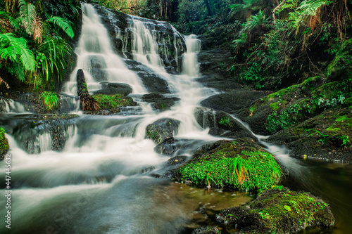 Lush green rain forest cascading waterfalls