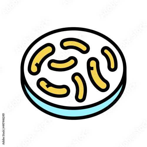 gut bacteria color icon vector. gut bacteria sign. isolated symbol illustration