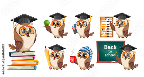 Owl in graduation cap. Back to school