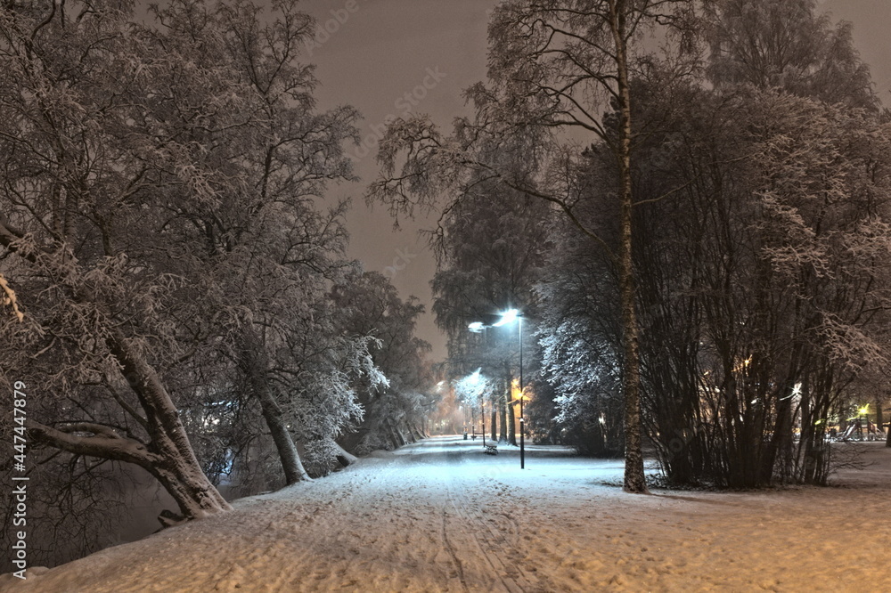 Shore road with trees and snow
