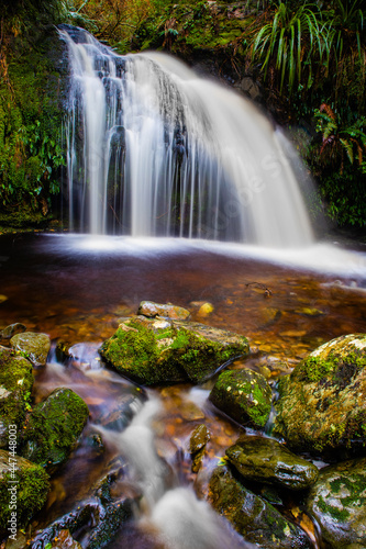 Fototapeta Naklejka Na Ścianę i Meble -  Lush green rain forest waterfalls