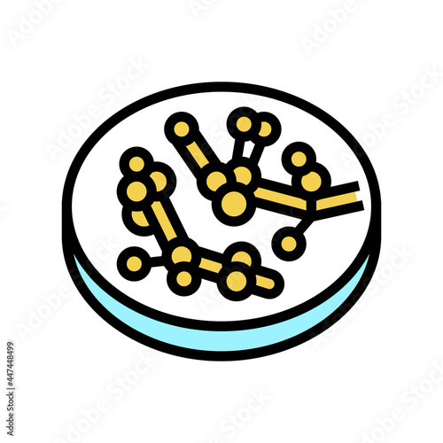 candida fungi albicans color icon vector. candida fungi albicans sign. isolated symbol illustration