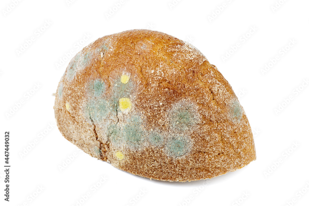 Piece of rye bread with mold isolated on white Piece of rye bread with mold isolated on white