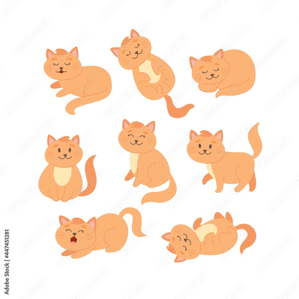 Cat set in different poses. Cute ginger cat character in cartoon style, vector illustration