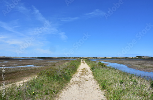 Sand Hiking Trail Over Tidal Marsh on the Cape