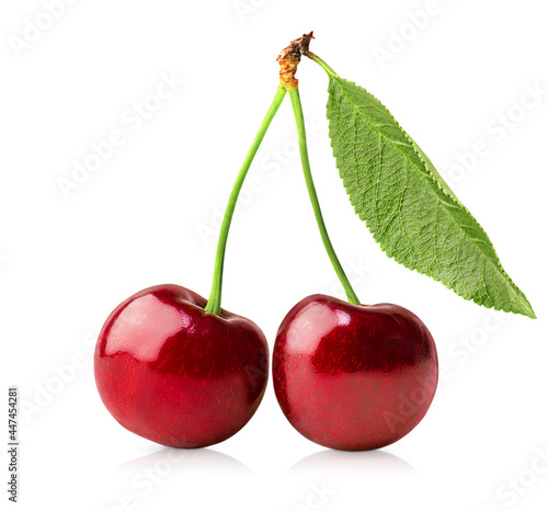 one bunch of sweet cherries on white isolated background