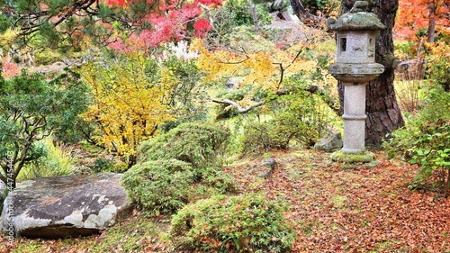 Fototapeta Naklejka Na Ścianę i Meble -  Autumn in Japan