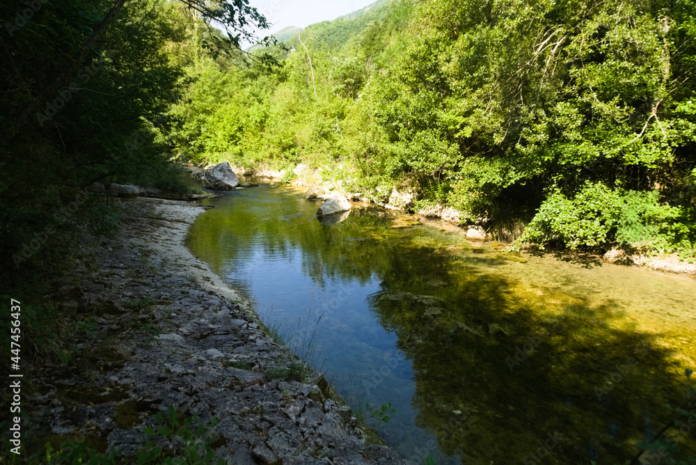 Ruscello lungo il sentiero per le cascate del Fosso di Teria a Secchiano nelle Marche Ruscello lungo il sentiero per le cascate del Fosso di Teria a Secchiano nelle Marche