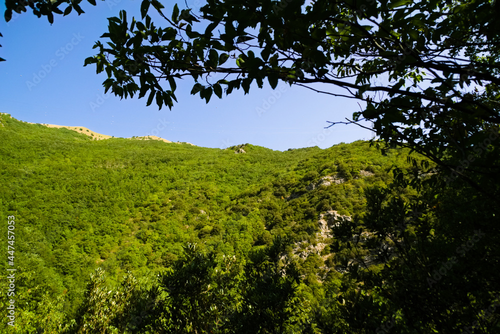 Panorama lungo il sentiero delle cascate del Fosso di Teria a Secchiano nelle Marche Panorama lungo il sentiero delle cascate del Fosso di Teria a Secchiano nelle Marche