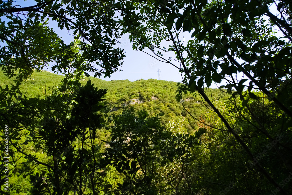 Panorama lungo il sentiero delle cascate del Fosso di Teria a Secchiano nelle Marche Panorama lungo il sentiero delle cascate del Fosso di Teria a Secchiano nelle Marche