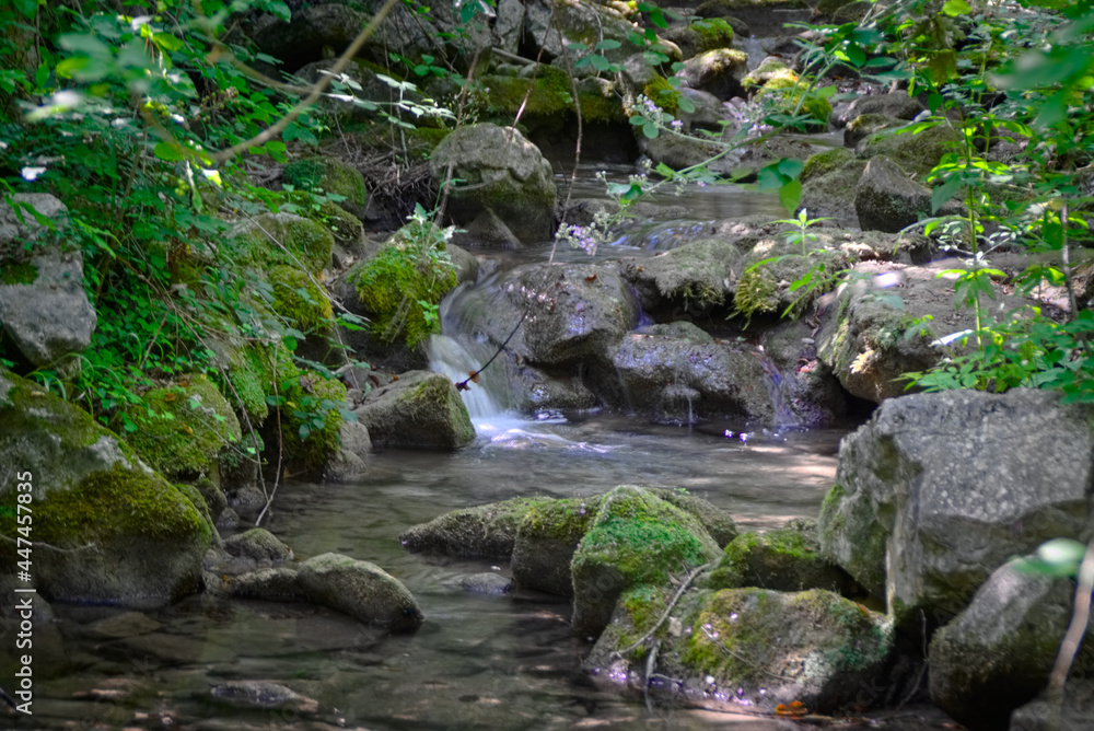 Ruscello lungo il sentiero per le cascate del Fosso di Teria a Secchiano nelle Marche Ruscello lungo il sentiero per le cascate del Fosso di Teria a Secchiano nelle Marche