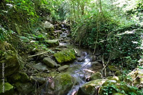 Ruscello lungo il sentiero per le cascate del Fosso di Teria a Secchiano nelle Marche