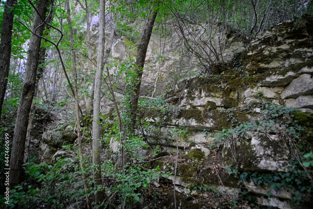 Rocce lungo il sentiero per le cascate del Fosso di Teria a Secchiano nelle Marche